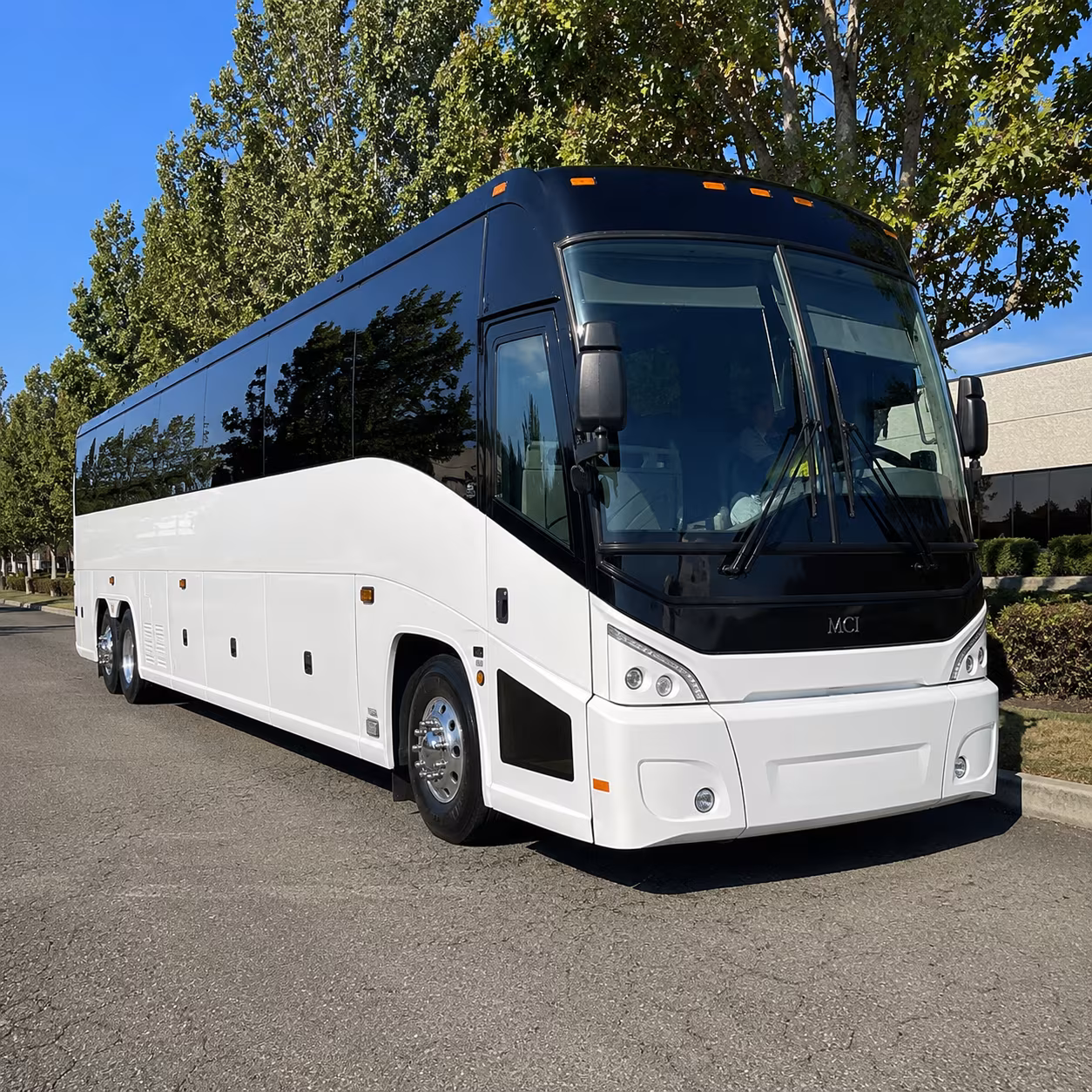 new orleans 50 passenger charter bus