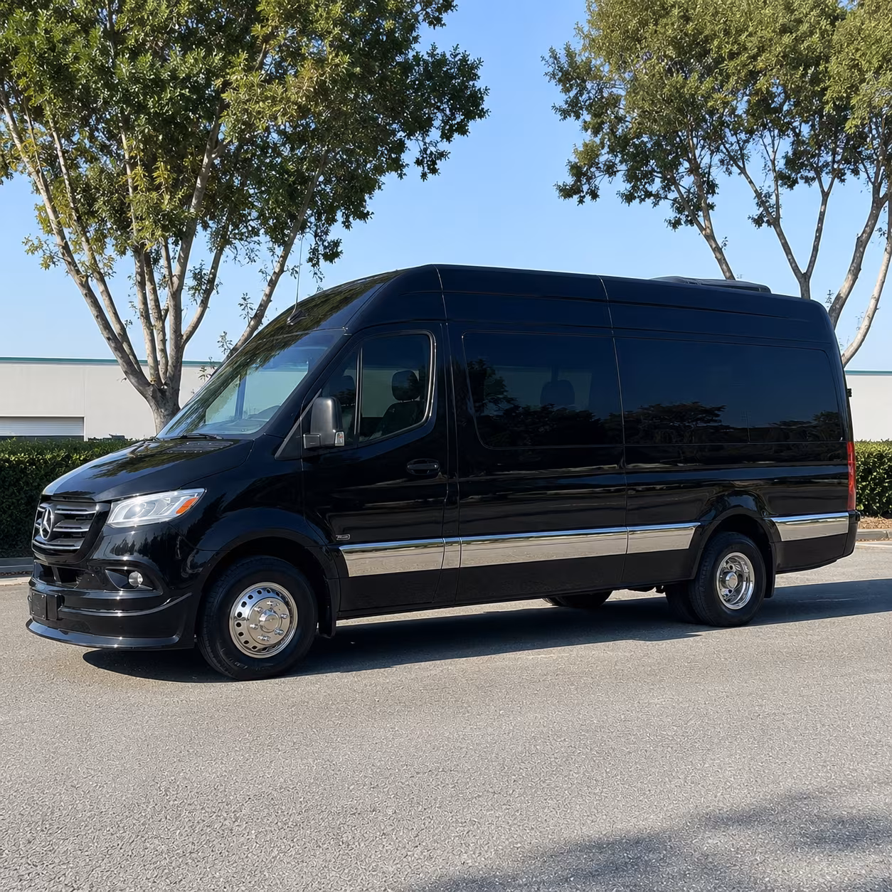 new orleans sprinter van with driver